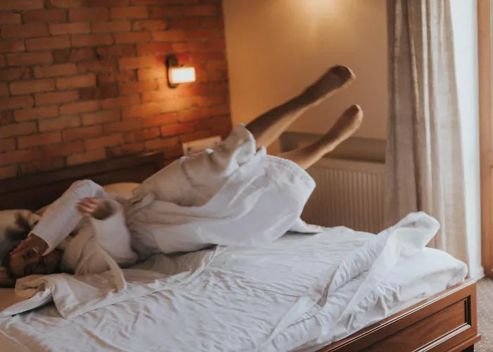 日内瓦公园酒店 宾馆 3*