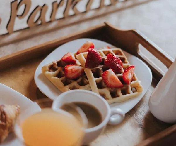 日内瓦公园酒店 3*