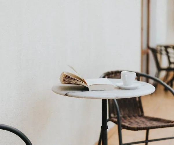 宾馆 日内瓦公园酒店 3*